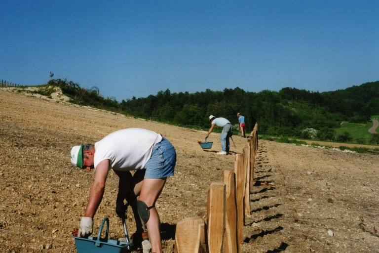 archives du domaine Bouhélier