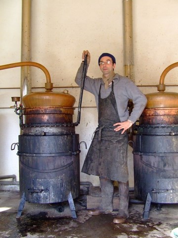 atelier de distillation alambic