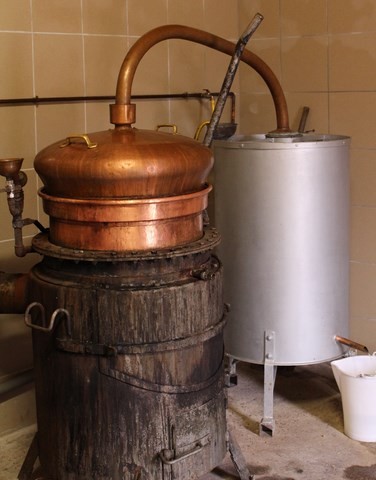 Distillateur de 50 litres