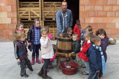 ecole maternelle en vendanges