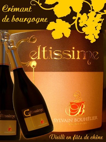 cremant de bourgogne fut de chêne