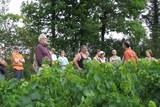 randonnée dans le vignoble chatillonnais